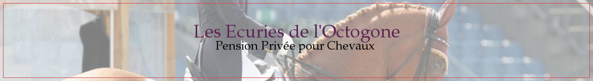 Les Ecuries de l'Octogone